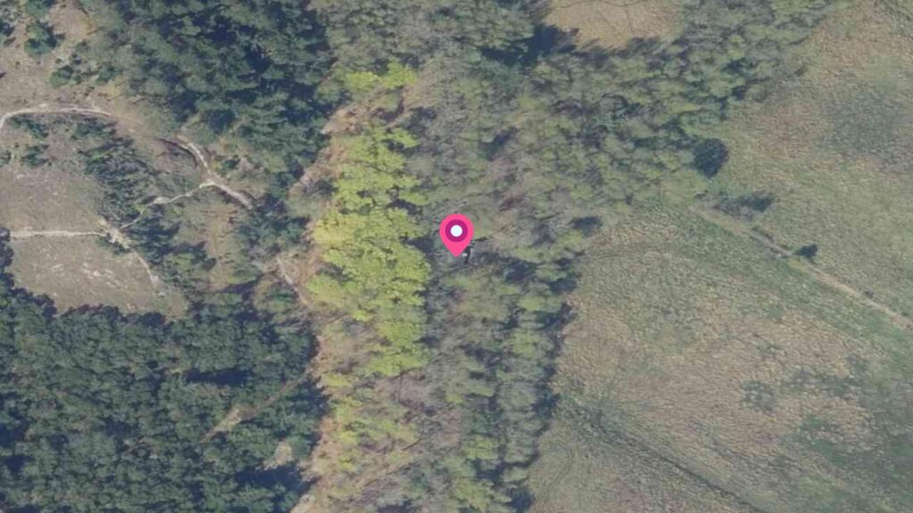 Tavlbjerg 3, 6857 Blåvand